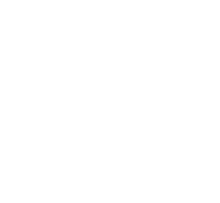 Pro Data Center Logo